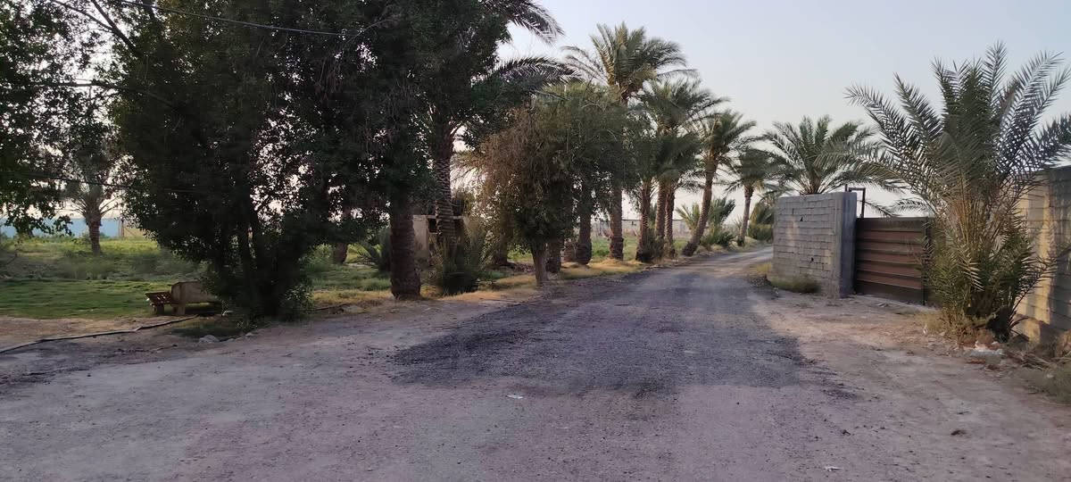 🏡✨ فرصتك تملك أرضك في بغداد – أبو غريب!
📍 دوانم طابو زراعي (سند 25) للبيع
بمواقع مميزة ومساحات مختلفة 🌾

💧 تتوفر جميع الخدمات:
ماء ✔️ كهرباء ✔️ طرق معبّدة ✔️

🚗 تبعد فقط 5 دقائق عن الخط السريع
⏱️ و15 دقيقة عن ساحة اللقاء

💰 الأسعار تبدأ من 60 إلى 90 مليون حسب الموقع والموقع المميز 🔥
📜 طابو رسمي أبو غريب

📞 للاستفسار والتفاصيل اتصل الآن: ***********
📍 أو زورونا في مكتبنا قرب مركز شرطة عكركوف

🏡 لا تضيع الفرصة... الأرض ما تعوّض ✨
