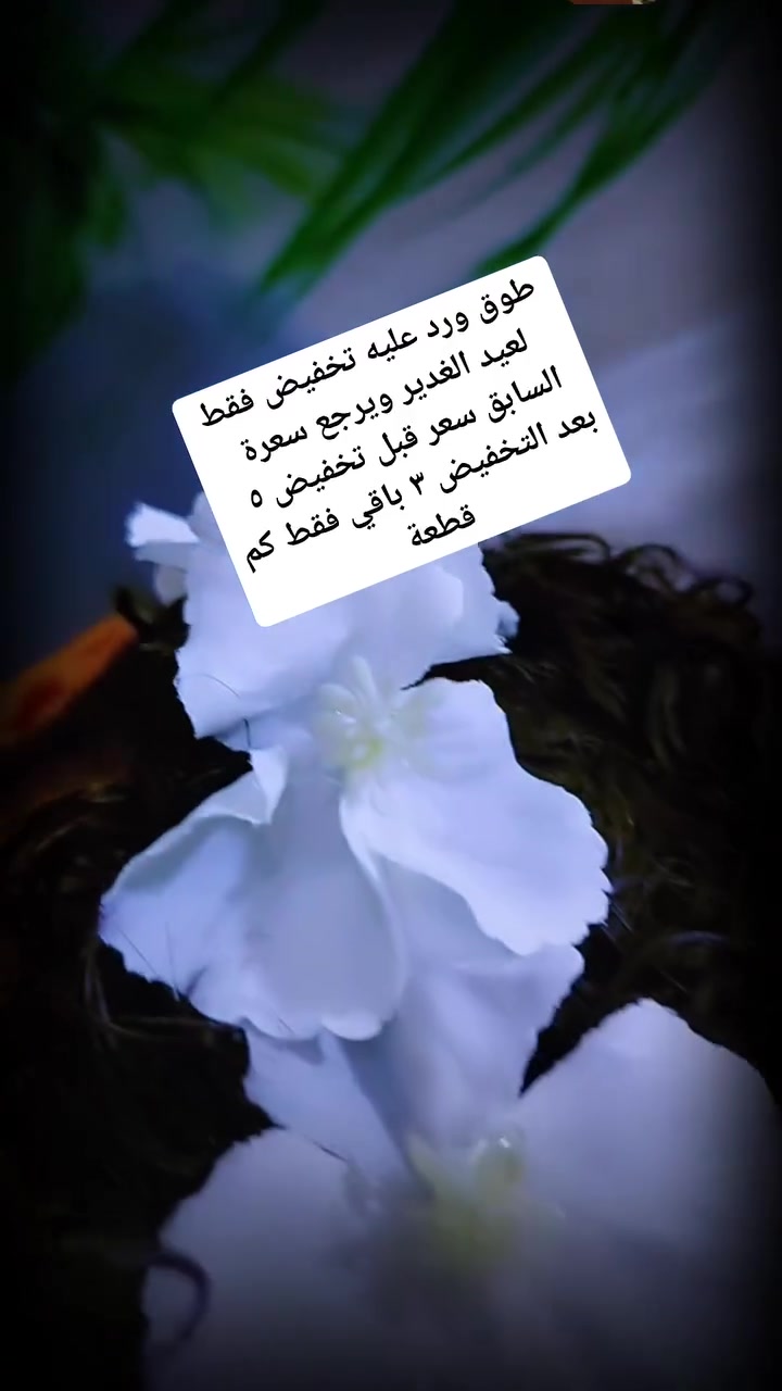 يالله بمناسبه عيد الغدير تخفيض-على طوق الورد 
فقط ب٣ الف 
السعر السابق ٥ 
باقي كمية قليلة للحجز والاستفسار مراسلة الحساب


**إذا كنت صاحب هذا الإعلان وتريد حذفه لأي سبب، رجاءا أرسل رسالة إلى الدعم الفني**