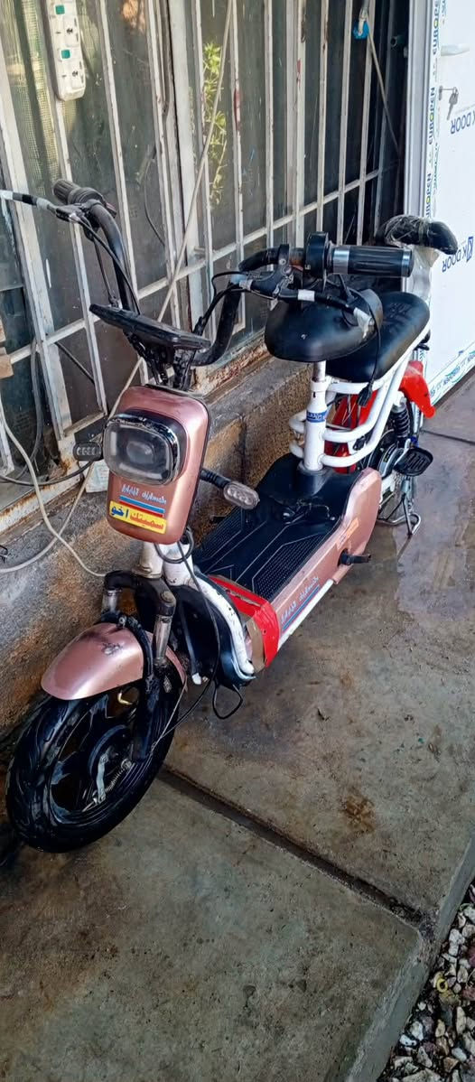 اغراض اسعار مناسبة جدا. العنوان بغداد اي استفسار خاص


**إذا كنت صاحب هذا الإعلان وتريد حذفه لأي سبب، رجاءا أرسل رسالة إلى الدعم الفني**