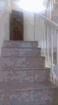 السلام عليكم
بيت للبيع 100 متر مربع 10في10
جزيره بغداد السياحية مركز شرطة الفحامه 
مقابيل مدرسه ابن الجوزي 
الاستفسار ***********
