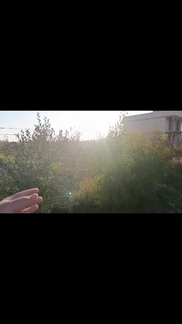 للاستفسار ***********
