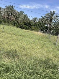 لبيع كاع المساحه الكليه 600 متر واجهه 18 والنزال 33 في الفحامه منطقه ا...