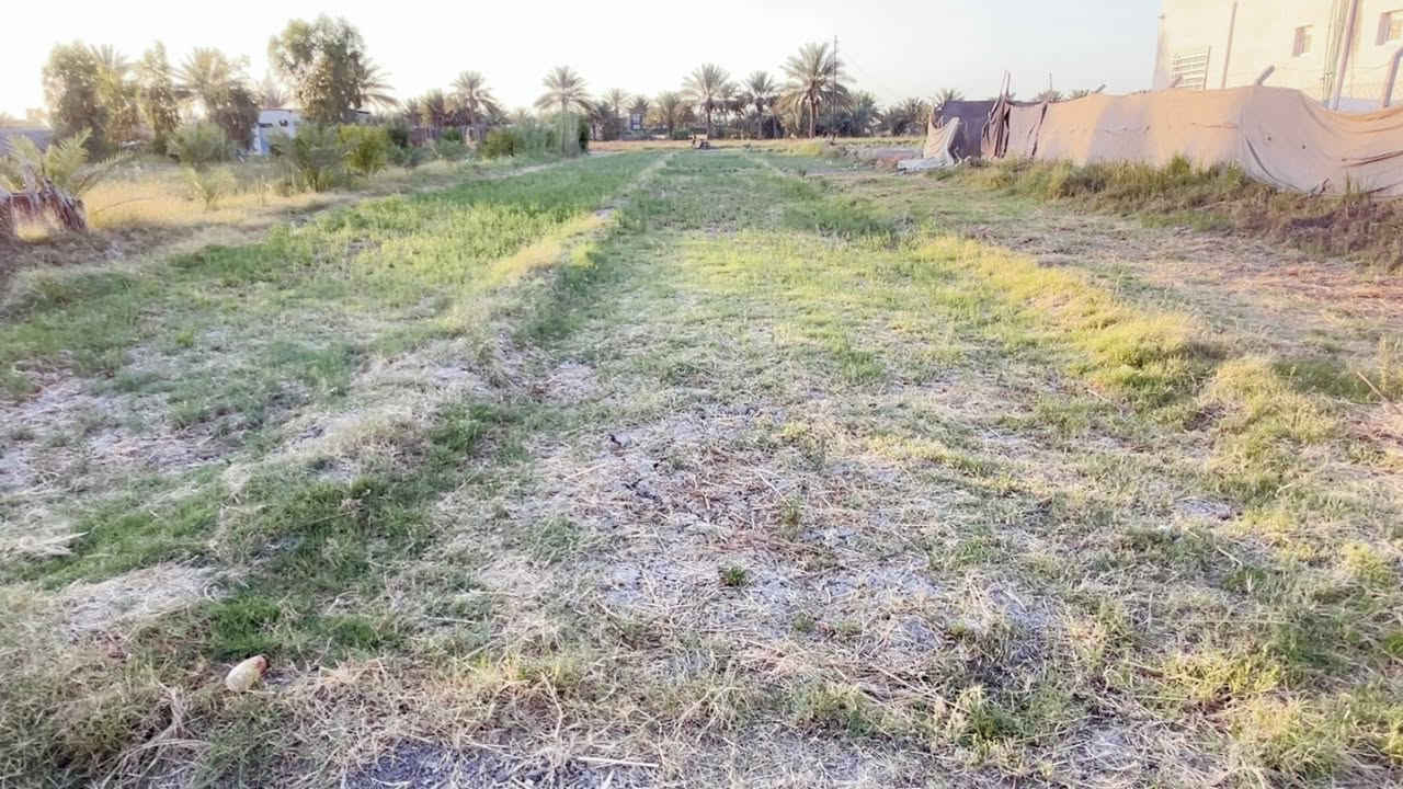 السلام عليكم
ارض زراعية للبيع 
سند 25 طابو  مع سهم اخضر (يعني حدود بلديّة مستقبلا) 
المساحة دونم ⬅️2500متر 
الموقع بابل قرية البوعلوان شارع ابو الطيارة. قرب جامع البتول. تبعد عن الشارع. 500متر 
الموصفات:الخاصة بالارض :
ماء اسالة 💧 
كهرباء ⚡️ 
+ طريقها مشمول بالتبليط 
خدمات إضافية ايظا أسواق وصيدلية ومدرسة 
الاستفسار.
***********
