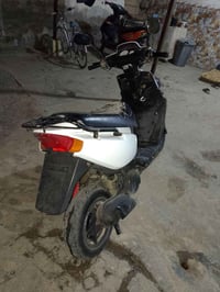 وحش الاكزز جبلي • قوية • سريعة