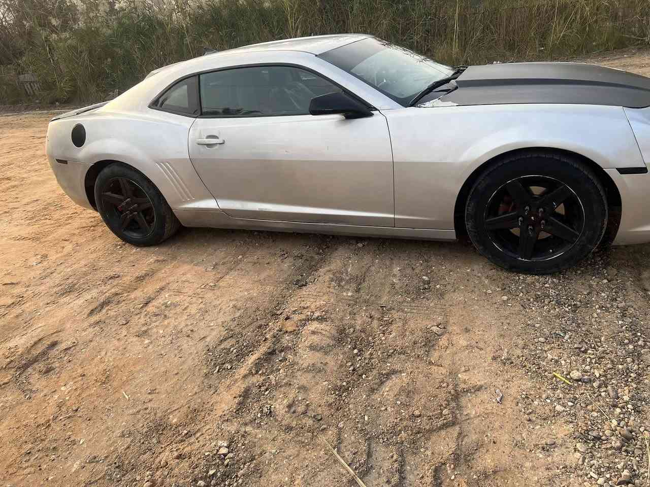 السلام عليكم للبيع كمارو  موديل ١٣ سته RS مكينه كير كفاله بيها صبغ قطع ابيع حزام  محدثه بجم ١٥ سياره حلوه ونضيفه ستوك بدون برمجه بيها نقص بسيط ينزل من السعر ٧٨ وبيها مجال ***********
