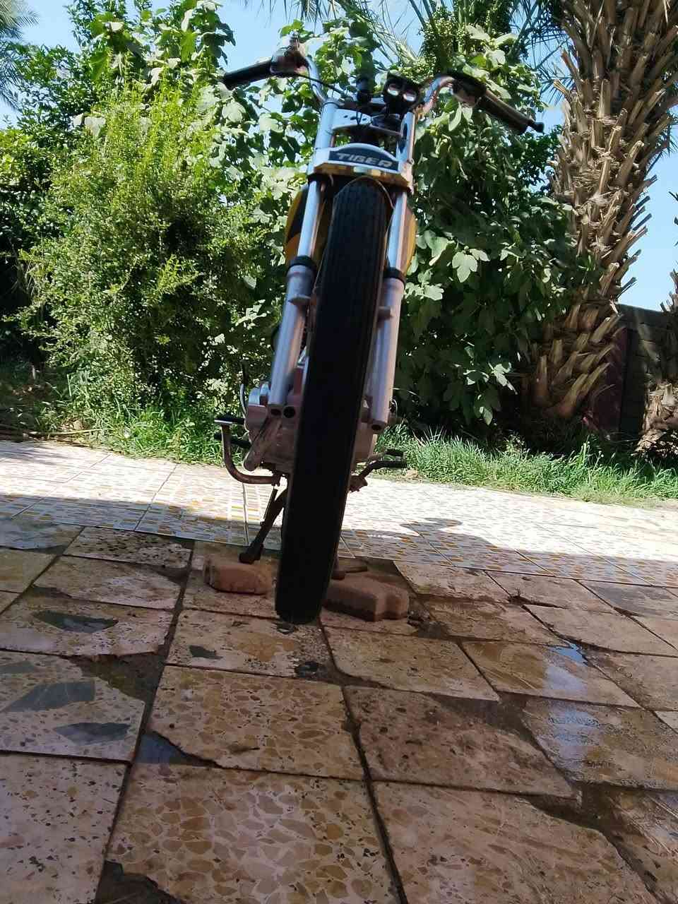 كلك نضيفه سعر 475 كاطعه ولف بدون سبايدر نضيه انضف من صور عنوانه شطره بني زيد رقمي***********
