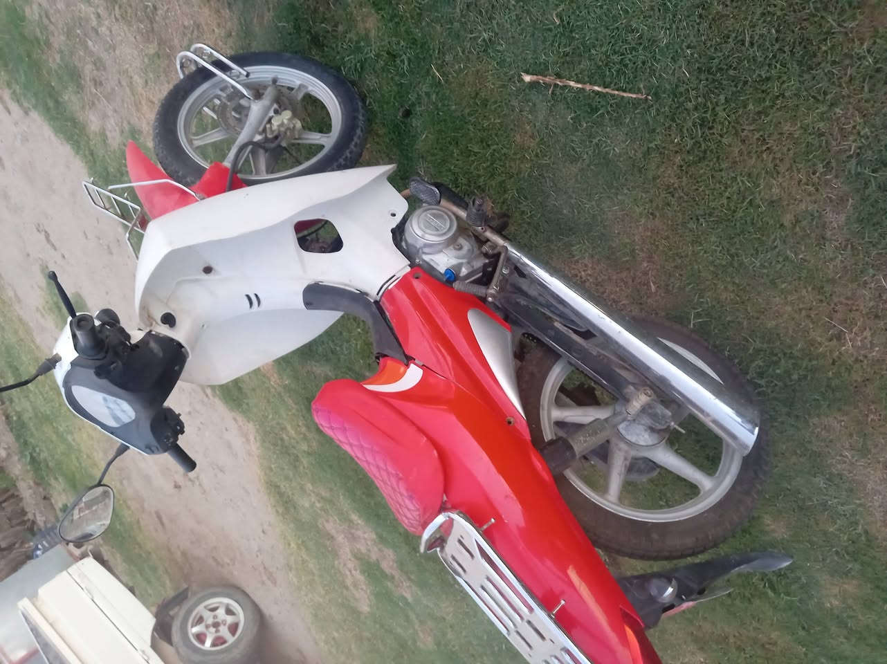 سلفيز للبيع سعر 500،وبيه مجال اتصل***********

