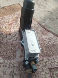 براد • كبوت فيات • بابل