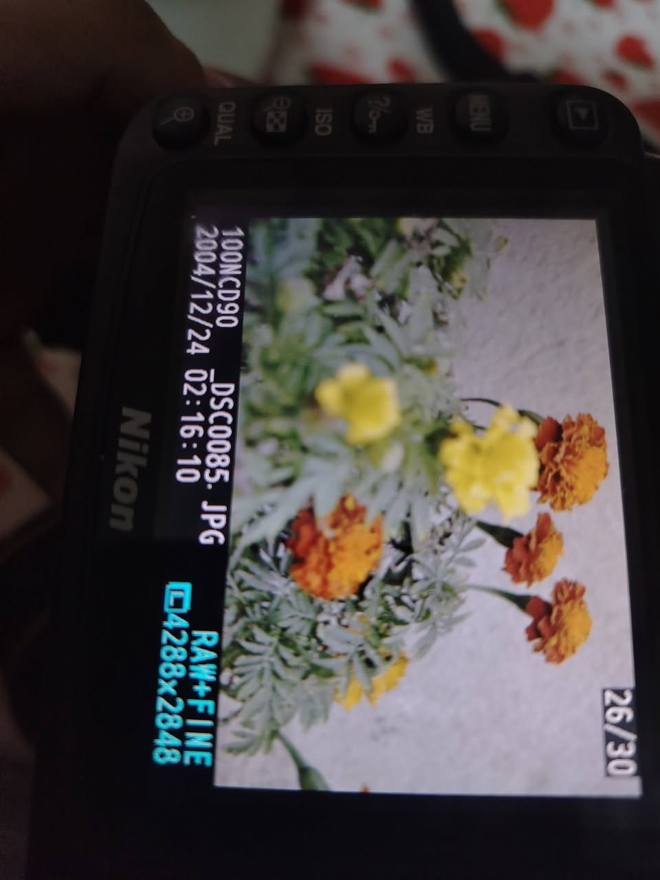 السلام عليكم اخوان كاميره تصويرها يجنن جديده تفيد للي يريد يتعلم تصوير أو للمبتدئين سعرها 150
هذا رقمي ***********
