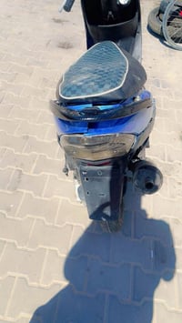 ماكس • شغاله • ٥٥