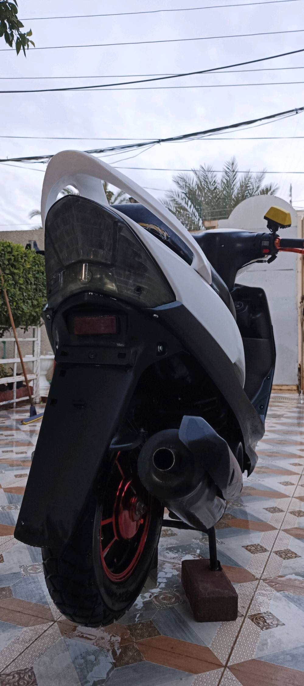 ماكس عدله للبيع البكان ديالى الخالص شلعه ومعدل فول سلف وهندر