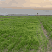 قطعة ارض زراعي للبيع 20 دونم الموقع خلف منطقة الخنساء 07812208748