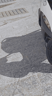 سلام عليكم دراجه البيع كفاله عامه بلاد ختم واحد ويه لمكينه كهربايات كله شغاله سلف هندر اوراق سعر 900وبي مجال الطيبين تواصل واتساب فقط ***********
