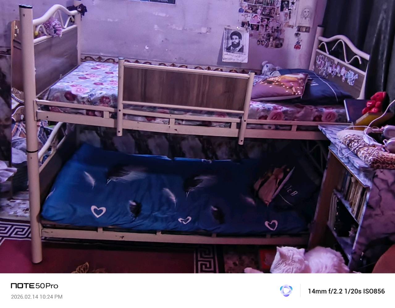 🔺غرفة نوم سوگيه نظافه 80٪ 
سرير + كنتور + ميز تواليت + زاويه
750 وبيها مجال بسيط....... 

🔺ميز طعام يتكبر ويتصغر بدون كراسي 
750.000 وبيها مجال بسيط..... 

🔺سرير اطفال طابقين  عدد 2 يعني 4 چرابي  مستعملات نص عمر 
100 الف وبيهن مجال  