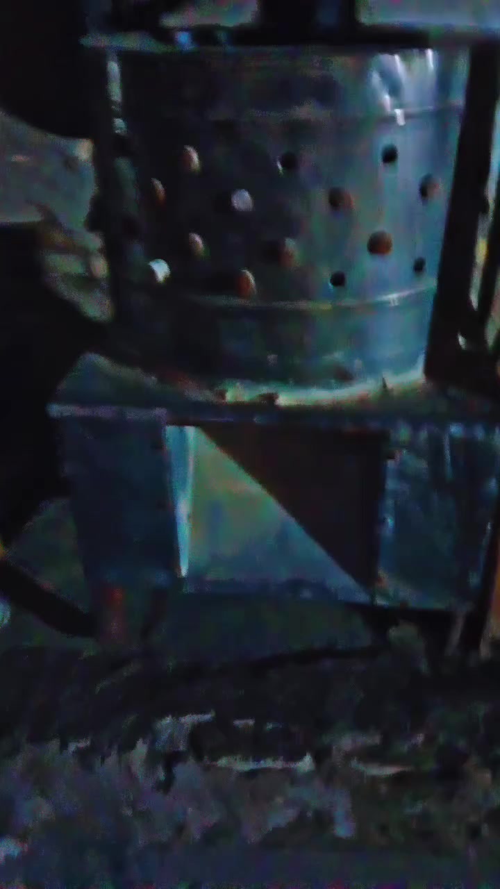 هلاسات دجاج 🐔 البيع شرط الفحص
*********** ناصريه مركز
