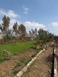 كربلاء الزبيلية • بستان دونمين ونص • بيت ومسبح