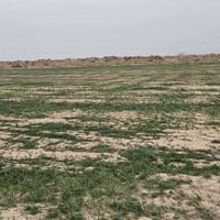 بدره • ٢٥٠ دونم • أرض للبيع