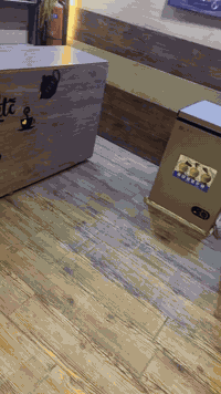 كوفي للبيع او لليجار *********** لاستفسار علا هذا الرقم
