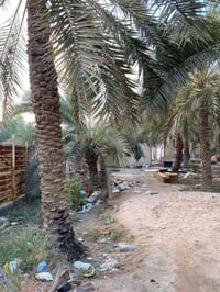 بصرة ابو الخصيب • أرض ٤٠٠٠م • طابو ملك