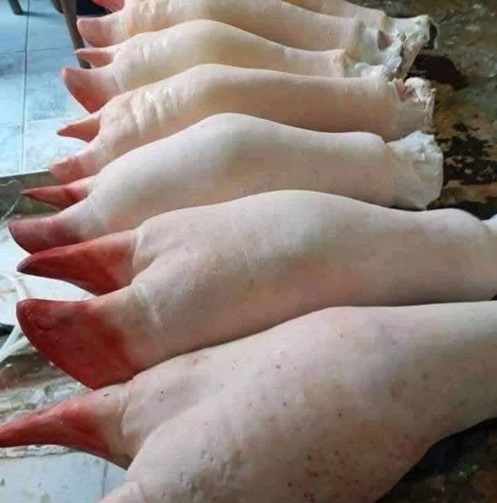 متوفر يوم غد كراعين عجل فرش درجه اولى 
 3 كيلوات كراعين عجل السعر 15 الف
للحجز *********** بي واتساب 
او مراسلة الصفحه 
تتوفر خدمة التوصيل داخل النجف والكوفه 
العنوان النجف الأشرف بداية ملحق الروان مقابل حلويات المنار
