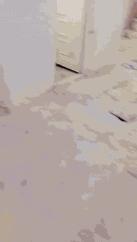 سلام عليكم بيت البيع طابو مساحته ١١٥بنيانه ميتين مكان ناصريه بل فداه بشارع بو لبنان السعر خاص الستفسار عله رقم الهاتف ***********
