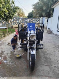 ستوته ام تي ار • اوراق اصولي • مكفوله