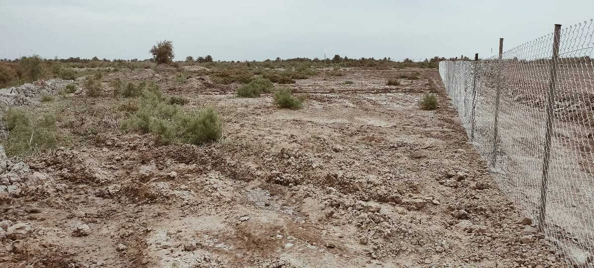 السلام عليكم.. ارض زراعية للبيع منطقة السورة.. الجلاع... المساحة 5 دونم عليها نهرين من اليمين واليسار شارع 6 متر ارض عاليه للزراعه للأستفسار ***********
