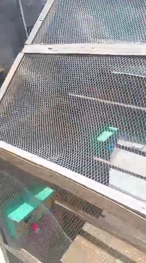 الطول ٩٠
العرض٦٢
الارتفاع ١٣٢
ب٣٠ وبي مجال


**إذا كنت صاحب هذا الإعلان وتريد حذفه لأي سبب، رجاءا أرسل رسالة إلى الدعم الفني**