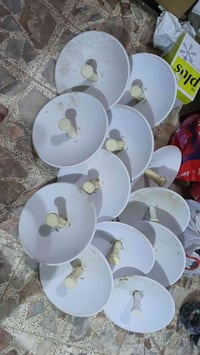 قفل • ١٠ قطع • توصيل لجميع المحافظات