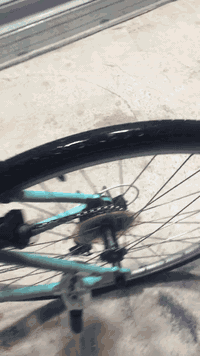 باسكال نضيف باله السعر ١٠٠ رقم ***********
