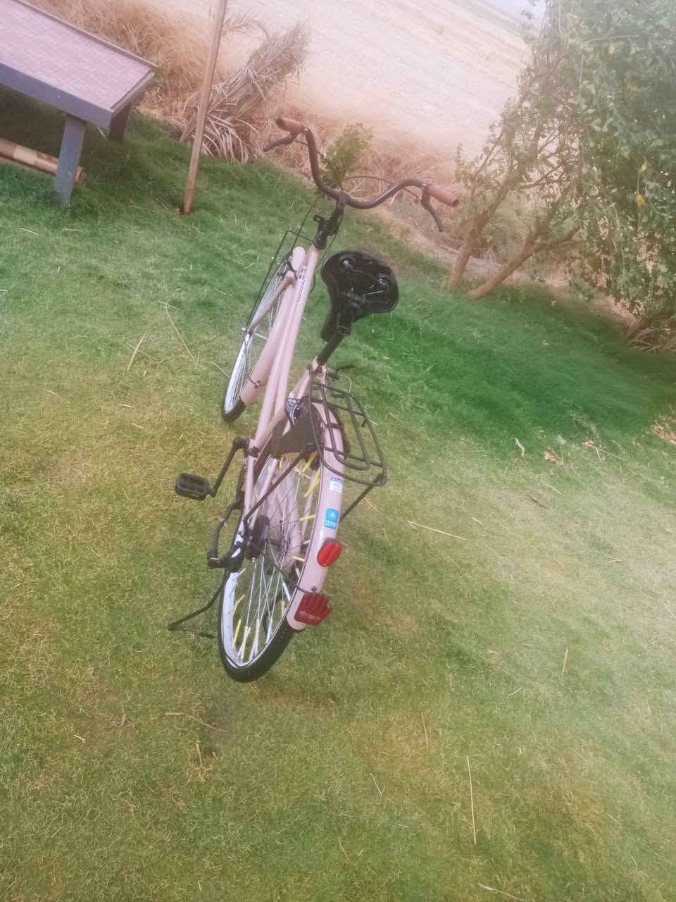 سلام عليكم. باسكل البيع موديل 21 نضافه فول مستعجل عله بيعته المكان نجف ناحيه ال عباسيه السعر 120وبي مجال رقم الهاتف ***********
