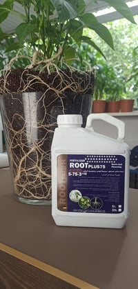 مجذر ألماني • تحفيز الجذور • بغداد ابو غريب