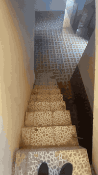 مشتمل ايجار  طابقين غرفتين نوم وصالة ومطبخ واستقبال وحمام بدل ايجار ٣٠٠ ألف اتصال 📞 ***********📞***********📞
