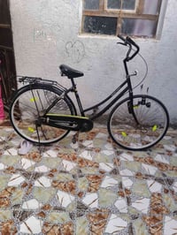 باسكل • الديوانية قضاء الشامية • نادر الاستخدام