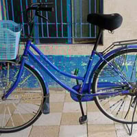 باسكل للبيع رقم الهاتف 07519949157