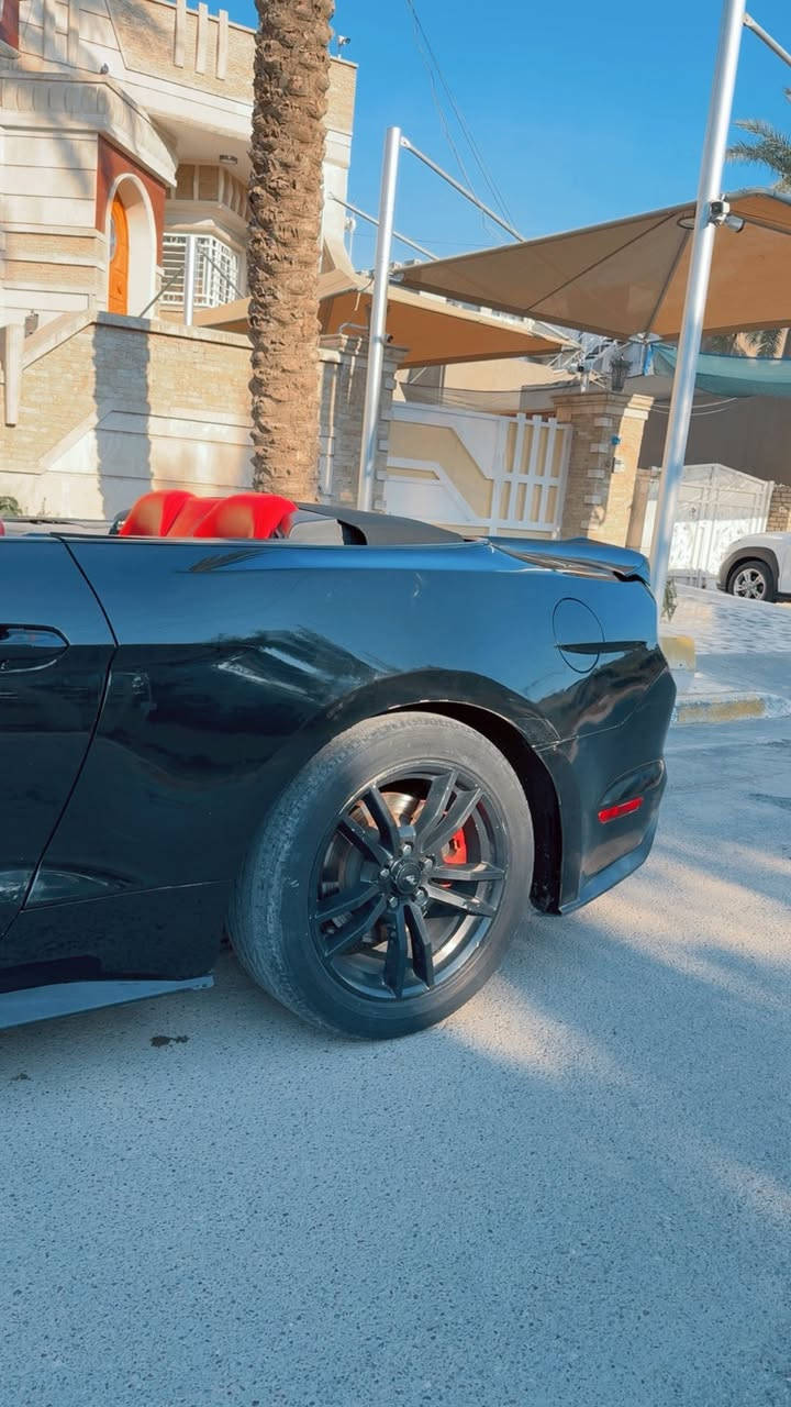 السلام عليكم
موستنك ايكو بوست بريميوم 2017 فول للاخير دشبول سبع الوان سستسم سماعاتBoos 
شاشه جبيره كشنات تدفئه تبريد السياره مابيها اي نقص كير ومكينه كافله ماشيه ٨٤ كيلو بيها جاملغات خلفيه صبغ بدون دواخل بدون ايرباك. صور الحادث بلمنشور السعر 128$مكان بغداد***********
