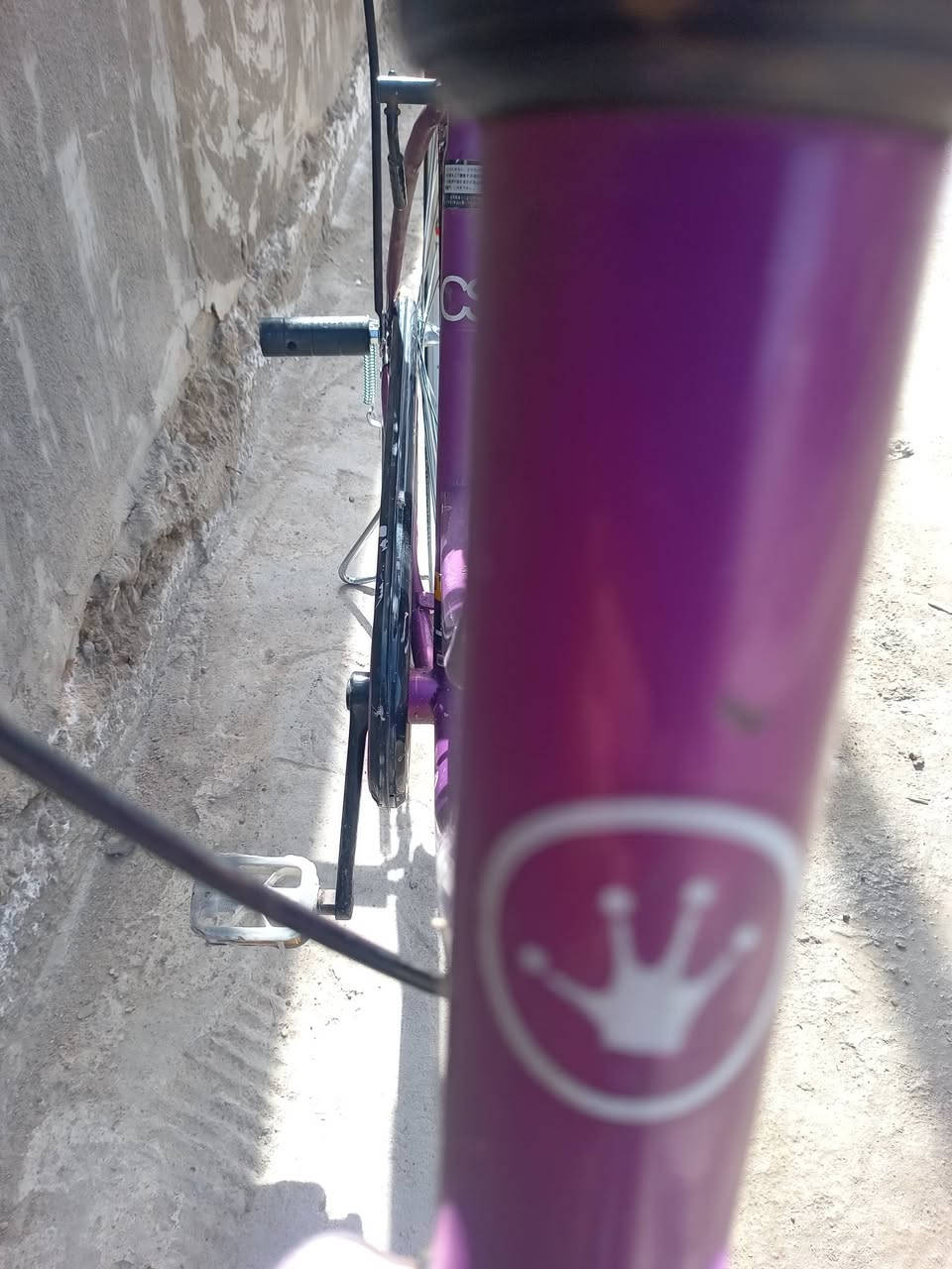 باسكل للبيع او مراوس 
السعر 110 وبي مجال 
مكاني بغداد المحموديه 
باسكل نضيف مابي اي نقص


**إذا كنت صاحب هذا الإعلان وتريد حذفه لأي سبب، رجاءا أرسل رسالة إلى الدعم الفني**