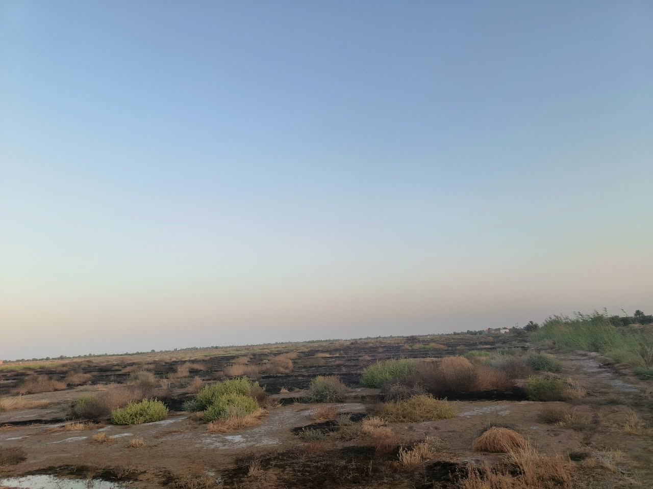 السلام عليكم
ارض زراعيه للبيع المساحه ٨ونص دونم ع طريق ال عواد صديفه تبعد عن الشارع الرئيسي ٧٠ متر يوجد فيها ماء اساله وكهرباء وماي سقي ارض صالحه لزراعه وبيها بيت هيكل بناء طابوگ‏ التواصل‪***********‬‏
