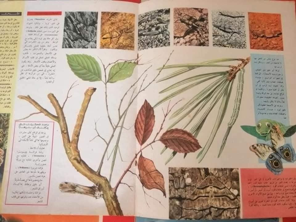 مجلة المعرفة
موسوعة كاملة ملونة شاملة
 
الاعداد كاملة 216 عدد في18 جزء في 9 مجلدات
حجم ضخم كبير

للحجز او الاستفسار تواصل معنا على هذهِ الصفحة
 او على الواتساب والتلجرام على الرقم *********** 

 قناتنا على التلجرام : 
https://t.me/al_ahiba

 يوجد توصيل لجميع المحافظات

#كتب #العراق #بغداد #سامراء #صلاح_الدين #اربيل #سليمانية #دهوك #كربلاء
#الانبار #النجف #ديالى #ميسان  #كركوك #ذي_قار #الكوت #نينوى #الديوانية #المثنى #واسط #بابل #القادسية #البصرة #اقتباسات #اقرأ #علماء #تعليم
#رواق_ابن_المعتز
