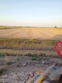 الشيخ عامر • ٨ دونم • سند ٢٥ ملك