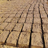 عمال • تقطيع لبنه • ١٠٠٠ لبنه