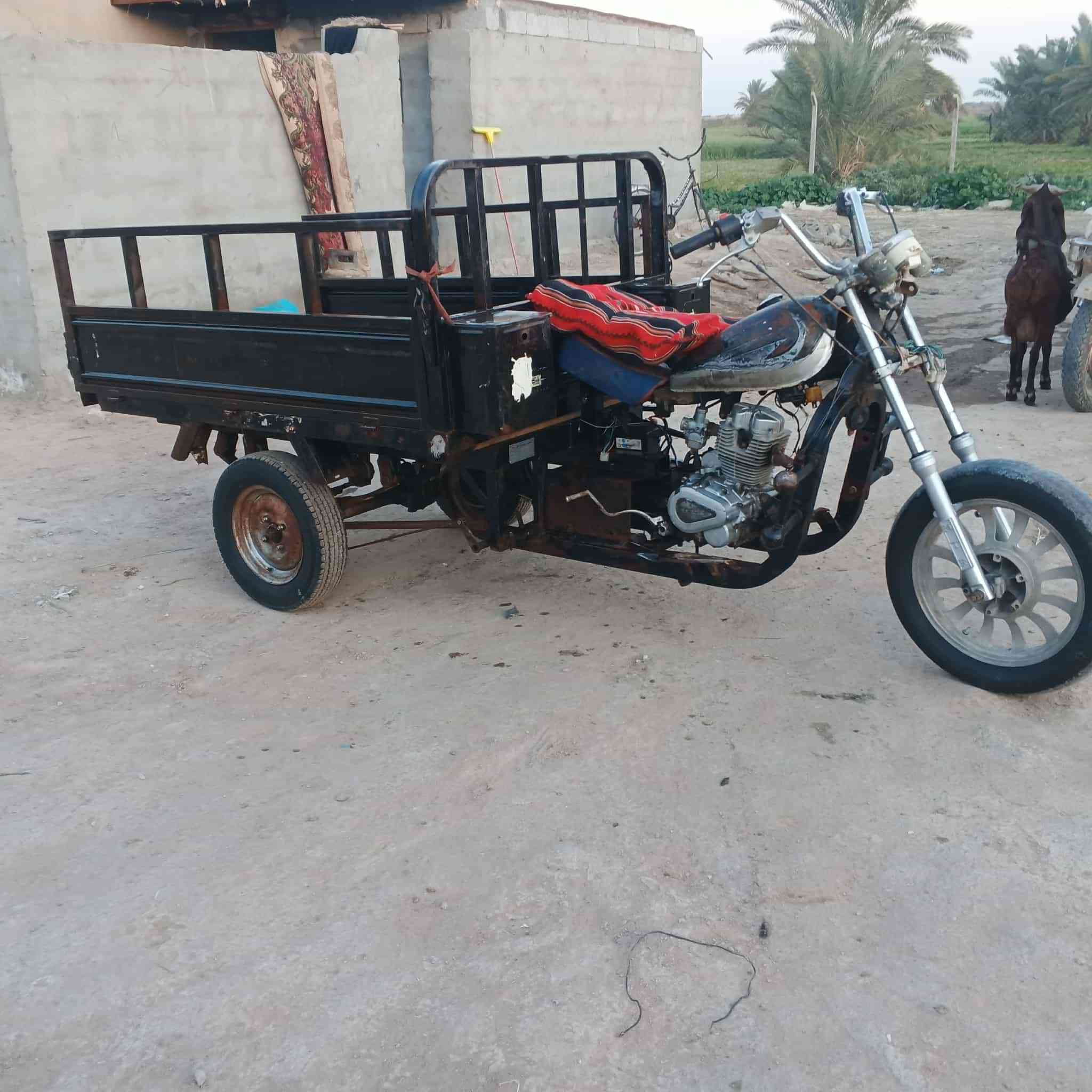 سلام عليكم شباب ستوتة للبيع كلك كلك مكفولة من السرقة 
السعر ٤٥٠ وبية مجال مكان ديوانية دغارة وهاذة رقمي***********
