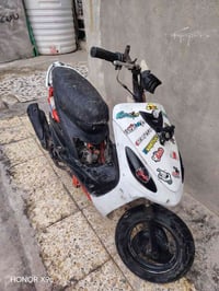 منغولي • كلجات رياضي • بوشه55