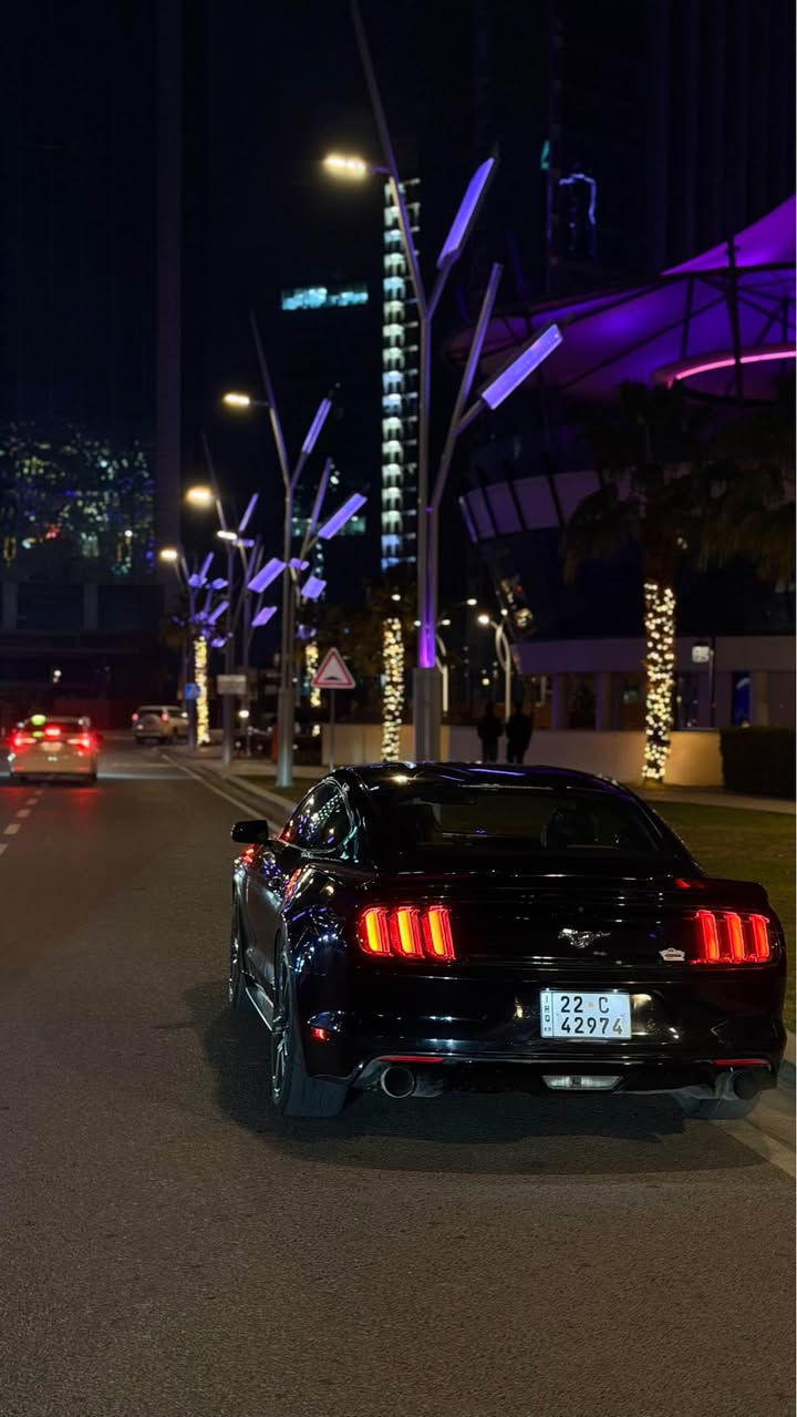 موستنك 2016محرك 4سلندر ضرر صفحة و بنيد داخله كلين للعراق انضربت بالعراق ماشيه 111الف مكان السياره اربيل  السعر 123و بي مجال خابر و تدلل ***********￼ أربيل, العراق
