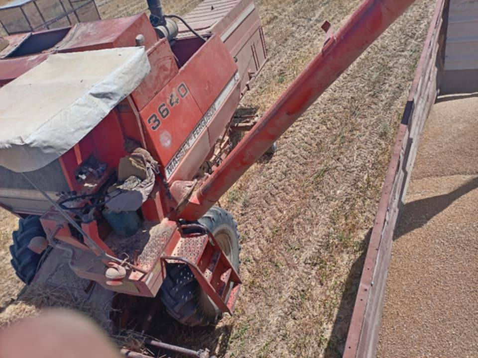 السلام عليكم 
حاصده فوركسن موديل 1989 رقم نينوى محرك 

معمر جديد بريك شغال تواير كبار جدد نضيفه بشكل

 ترهم مراوس المكان قضاء تلعفر  ناحيه زمار

سعر ٦٥ ورقه  
***********
