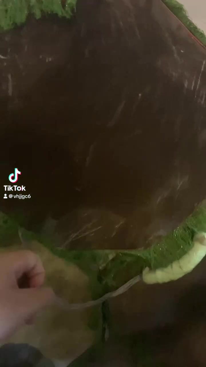سلام عليكم موجود جلدات ودمامات جلدات عدد 7او
الدوامات عدد4 متواجد واتساب الرقم ***********
الوشراي لا يراسل
