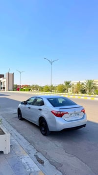 كورلا LE • ٢٠١٩ • رقم سليمانية