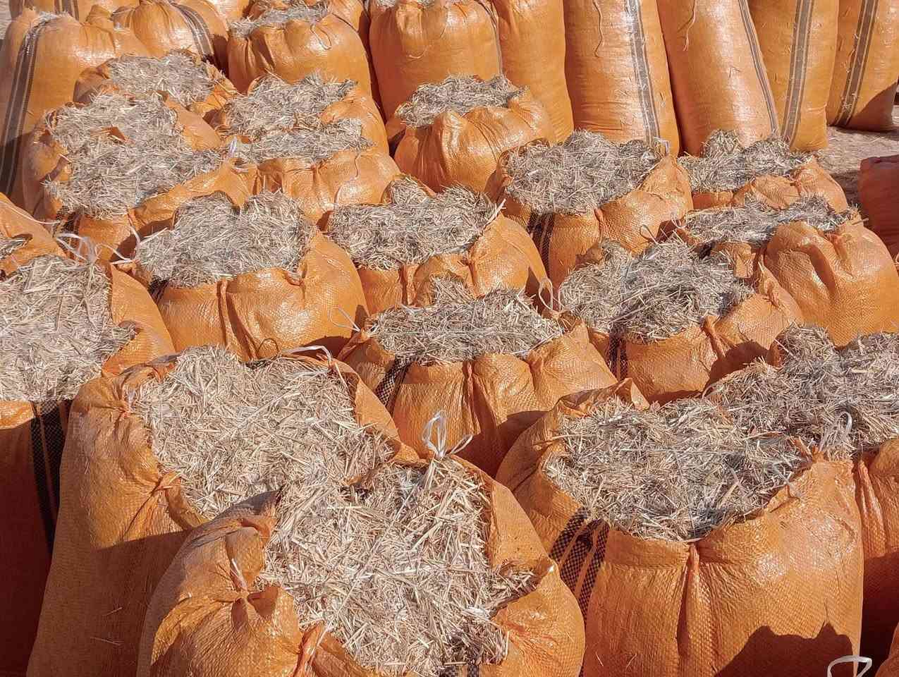 تبن للبيع درجه اوله مكفول من كلشي بسعر رخيص اتصال*********** ***********و مراسله خاص يوجد جميع القياسات توصيل مجاني (بابل ديوانيه طويريج بدر وجصان  كربلاء واسط بغداد )
