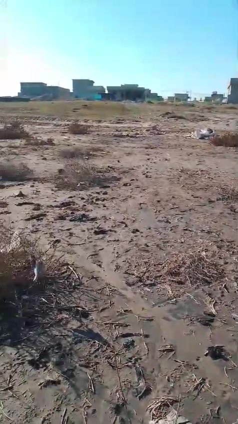 ارض للبيع مساحتها 300واجها 15عرض20سند زراعي موقعها يم بيت طه الدوكان ومحلات جبروت امرأة 
متوفر كافه الخدمات مي وكهرباء وشارع كلشي يمها 
سعرها مناسب ترهم مقدمه ونقد اتصل وتدلل ***********
