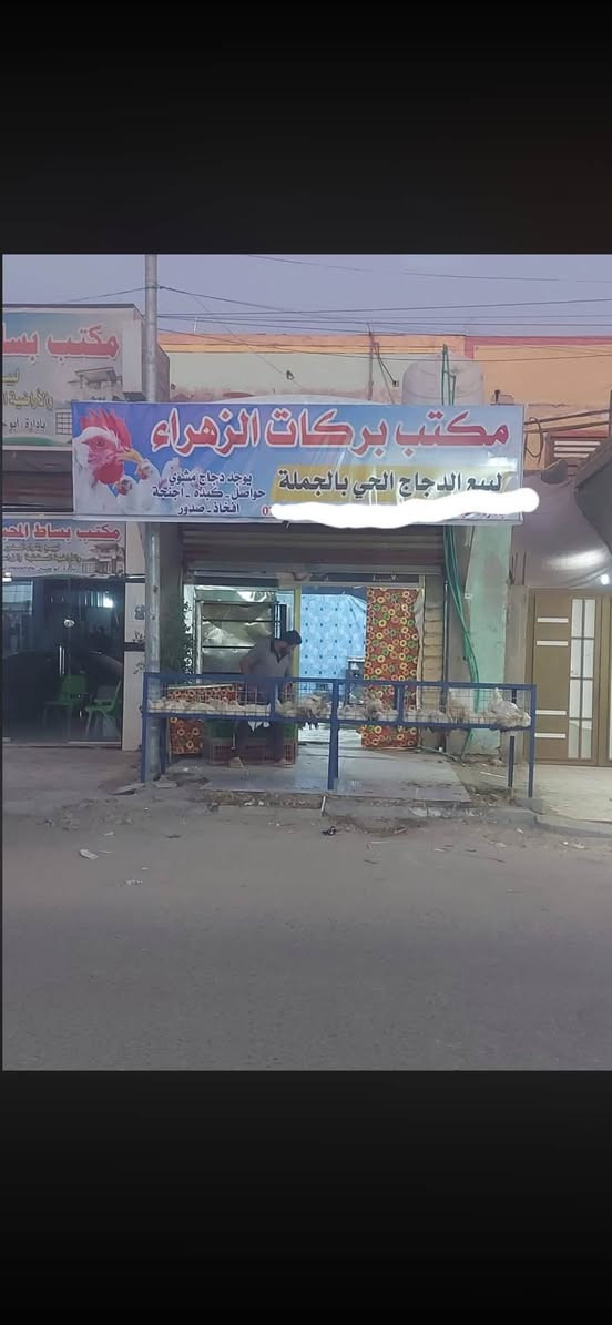 سلام عليكم محل دجاج كامل للبيع لللاتصال عل رقم ***********
